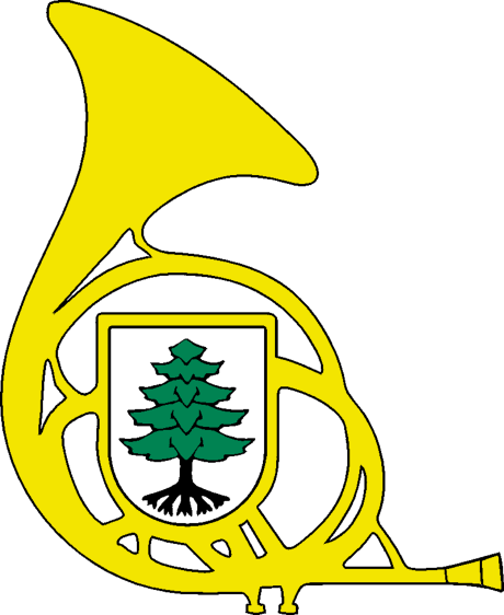 MVO_Horn_transparent_normalaufloesend